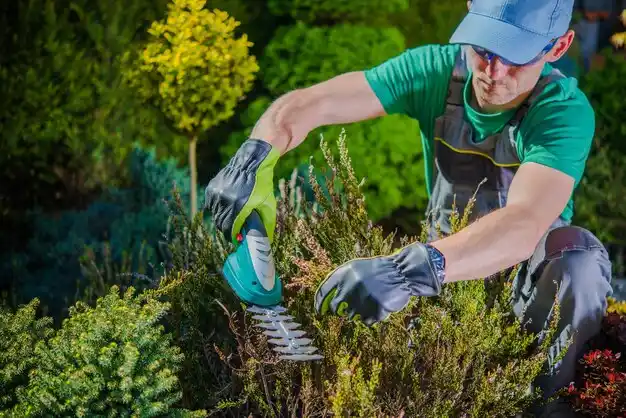 landscaping services Black Jack
